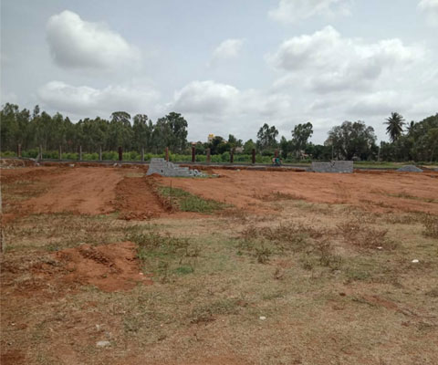 project